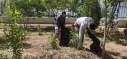 مرکز آموزشی درمانی امیرالمومنین(ع) به #پویش_جمع‌آوری_پسماندهای_پلاستیکی پیوست.
