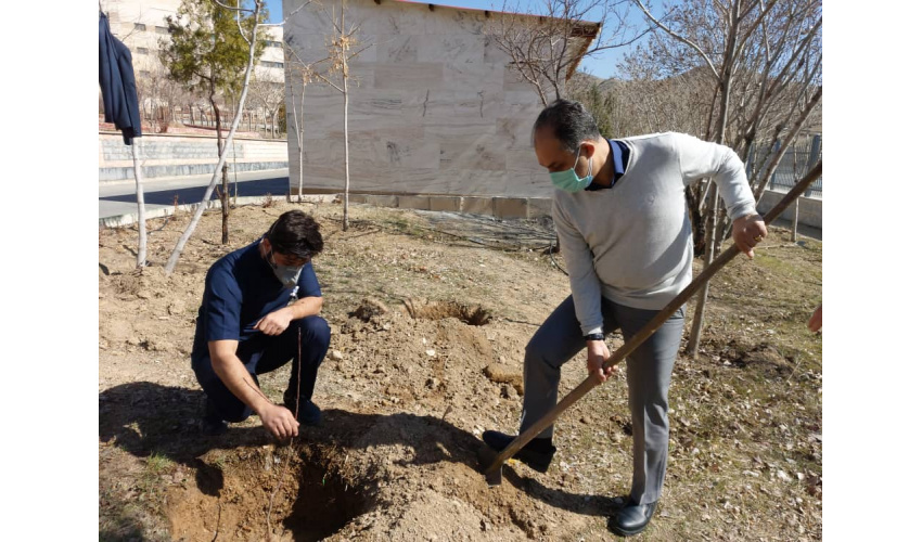 روز درختکاری و هفته منابع طبیعی