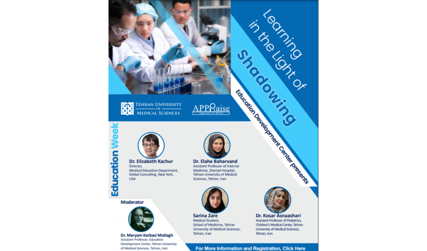 International specialized webinar entitled: "Learning in the light of Shadowing"